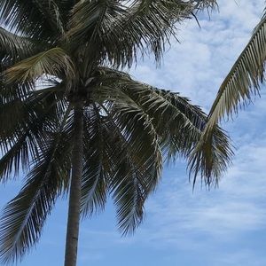 Meet your Posher, Sam